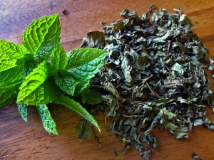 dry mint