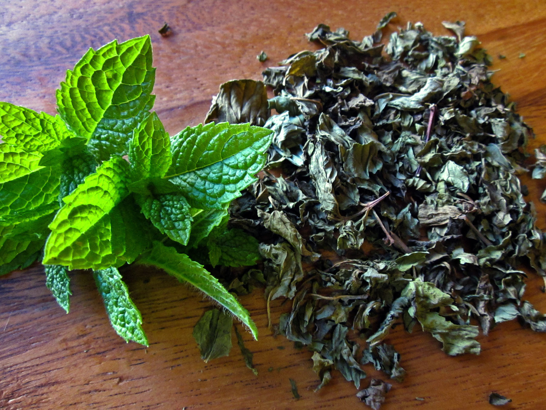 Drying Herbs